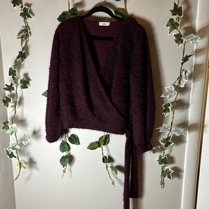 Hummingbird Deep Purple V-Neck Sweater